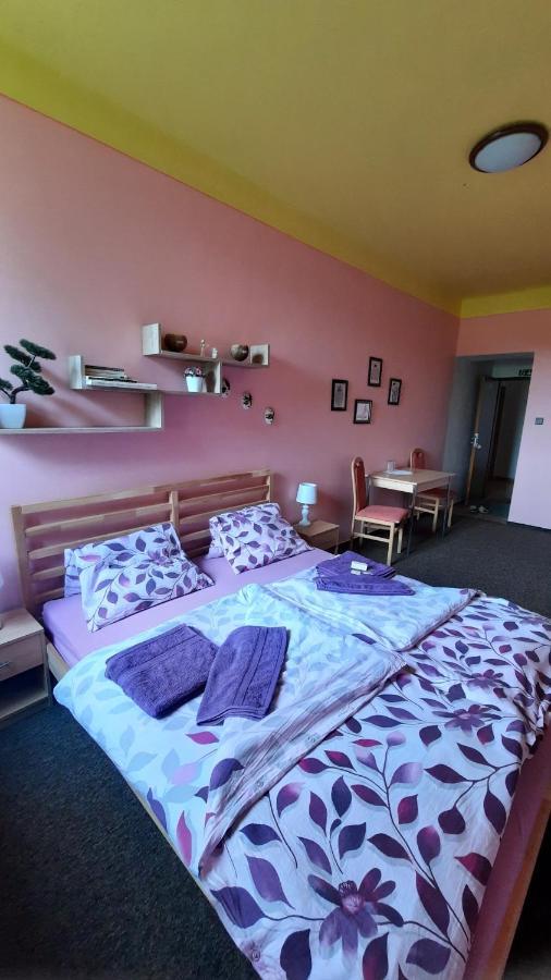 Penzion U Statku Lodherov Esterno foto