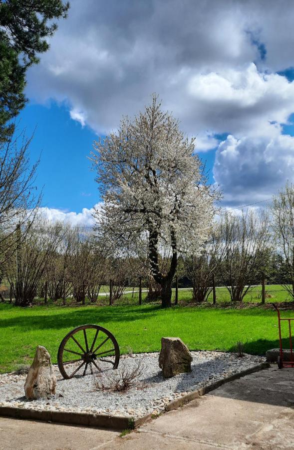 Penzion U Statku Lodherov Esterno foto